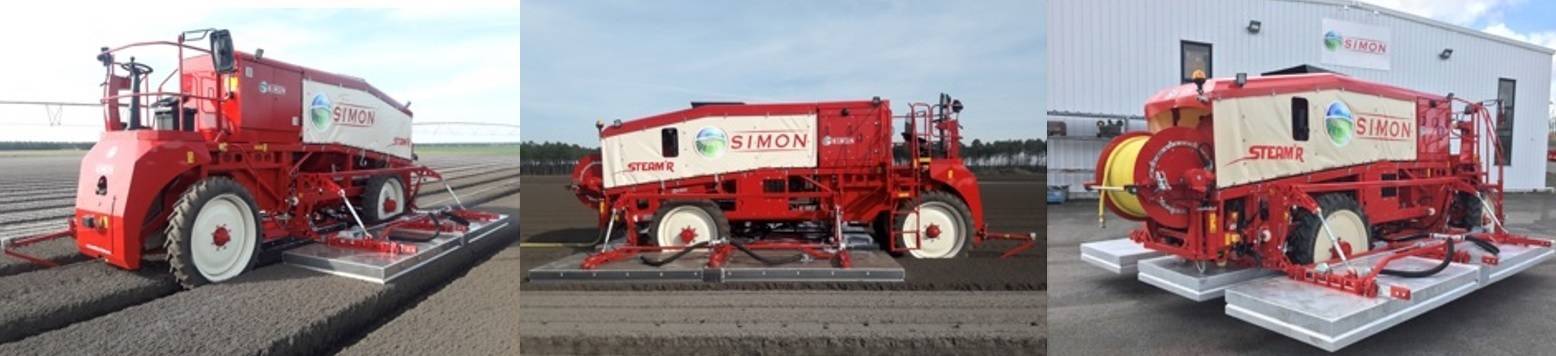 SIMON