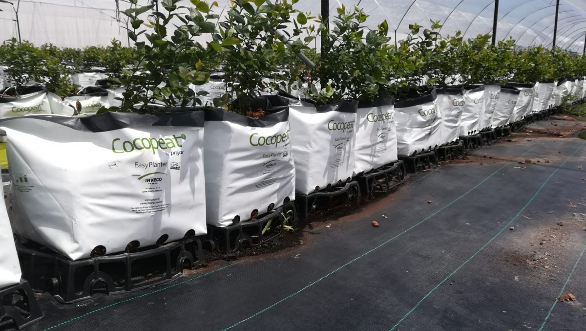 007-Easy-Planter.jpg