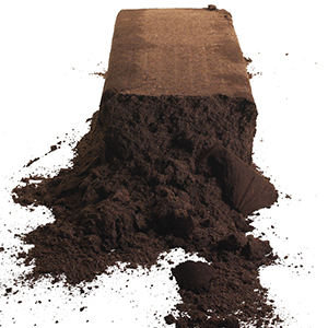 Producto_Blend_Berries_Arandano.jpg