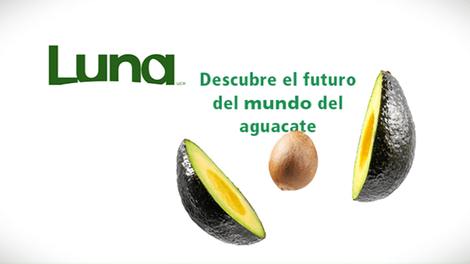 Eurosemillas-Luna-aguacate.png