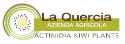 LA QUERCIA