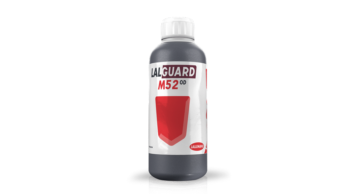 M52-OD-primer-registro-eMasso-Metarhizium-hongo-insecticida-de-la-mano-de-Masso-Agro.png