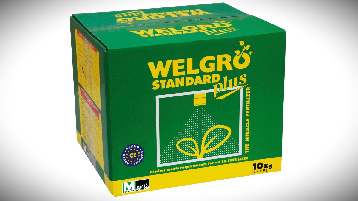 Masso-Welgro-1200x675.jpg