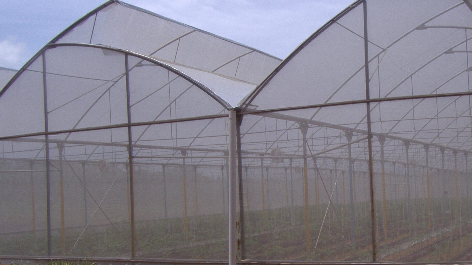 Agristop-AIN-40-mesh.16x10.-Pimientos.3-16x9.jpg