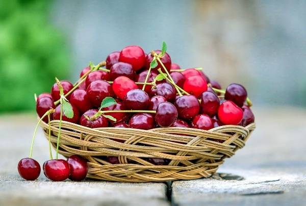 cherry
