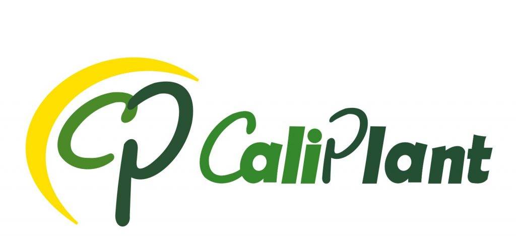 Imagen CaliPlant Viveros