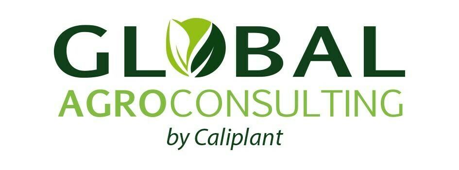 Imagen Global AgroConsulting