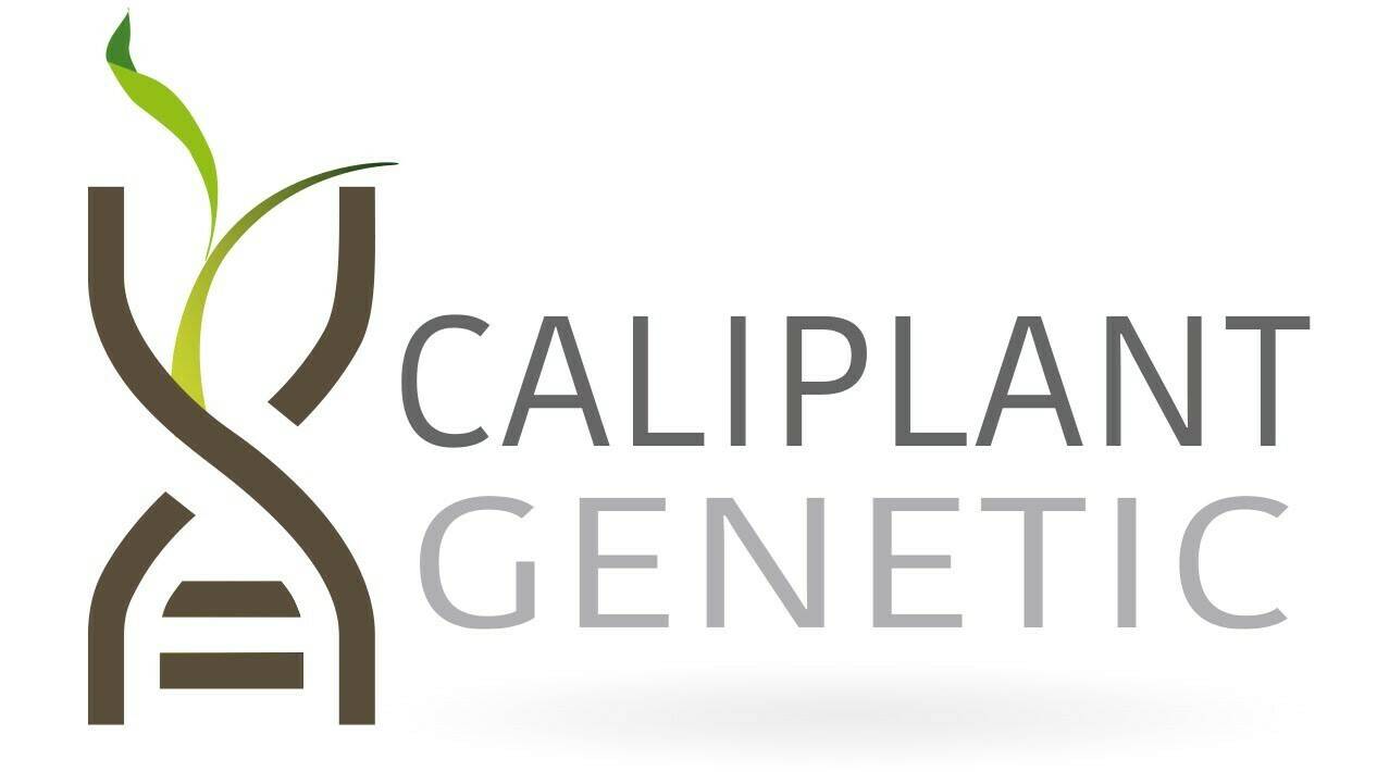 Imagen Caliplant Genetic