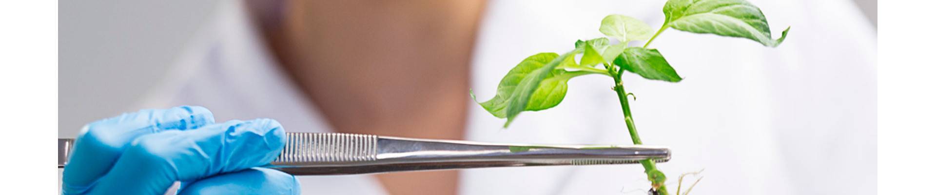 Imagen Banner 900 x 100