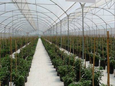 Biorete 50 A.P. y Agritela Riflex