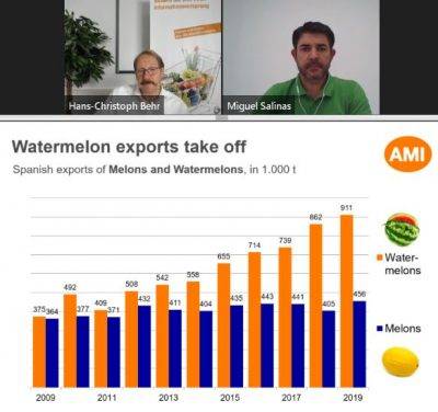 La sandía continúa en alza y Europa del norte empieza a apreciar los melones verdes
