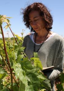 Mª del Henar Prieto  en Charlas en la Biblioteca