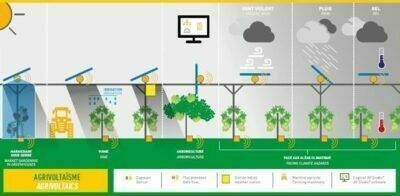 Agrivoltaica y Horticultura