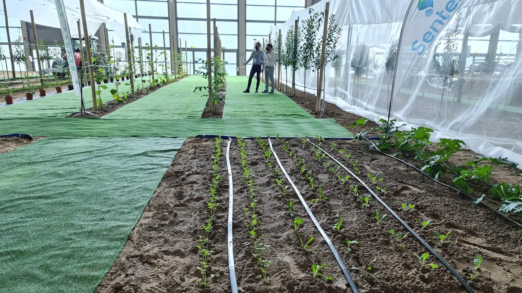 Sobre el Macfrut y la horticultura moderna