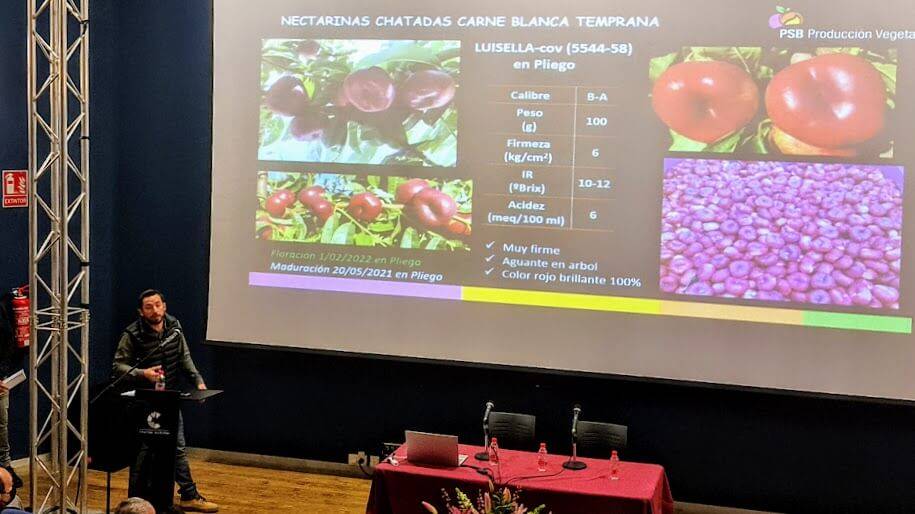Frutas de hueso en Cieza