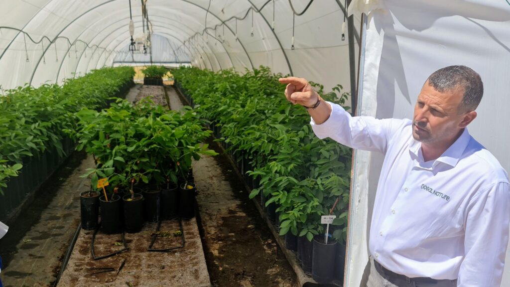 laboratorio vivero nogales