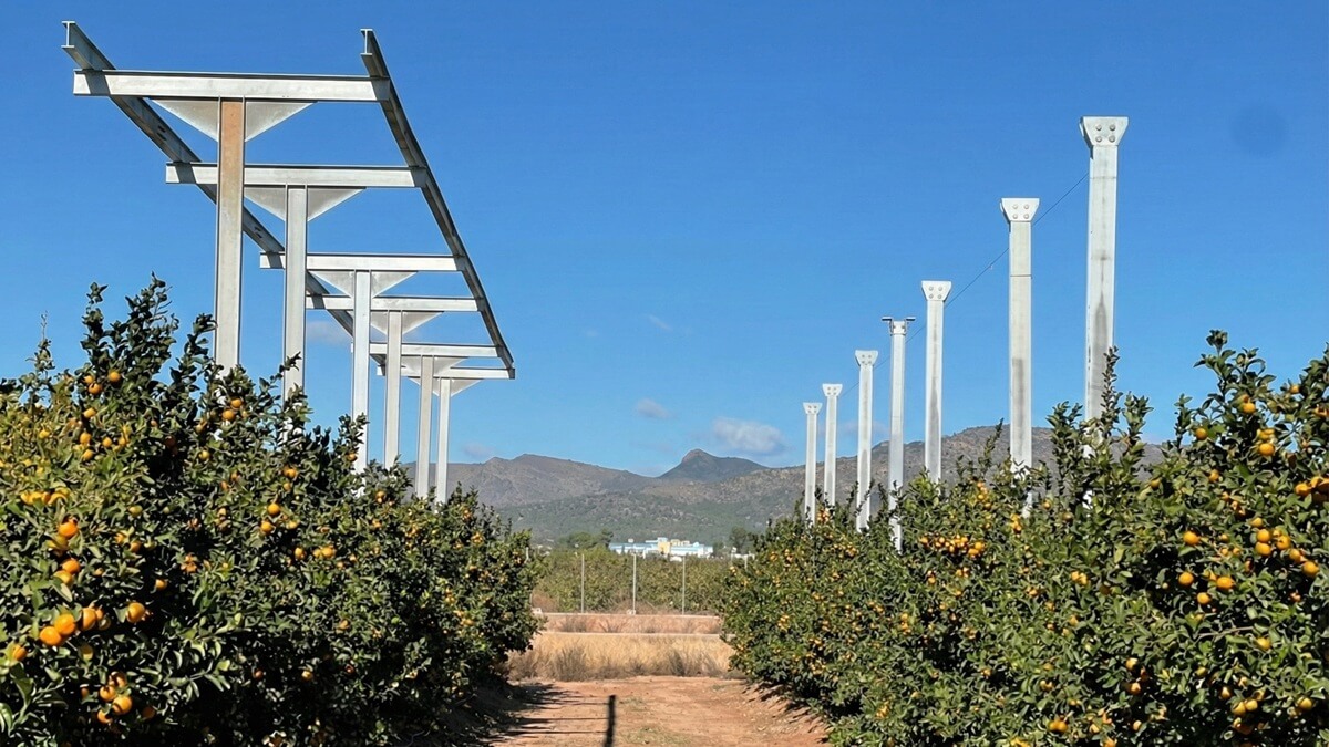 planta-piloto-agrivoltaica-citricos-upv-lliria.jpg
