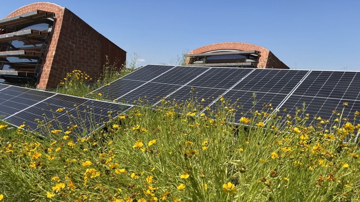 fotovoltaica-cubiertas-ajardinadas-soporte-drenante.jpg
