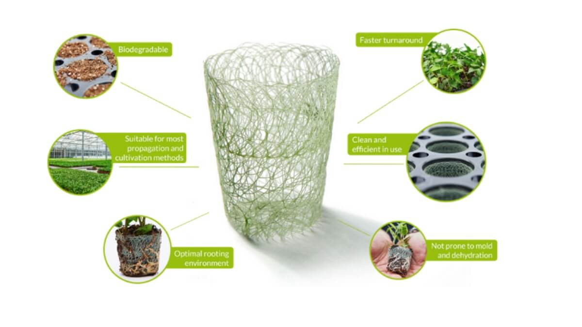 Malla maceta biodegradable para mejorar el cepellón y el enraizamiento ...