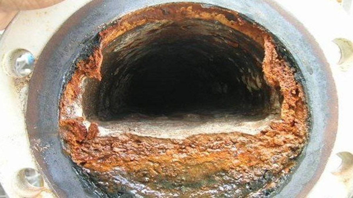biofilm-234-1.jpg