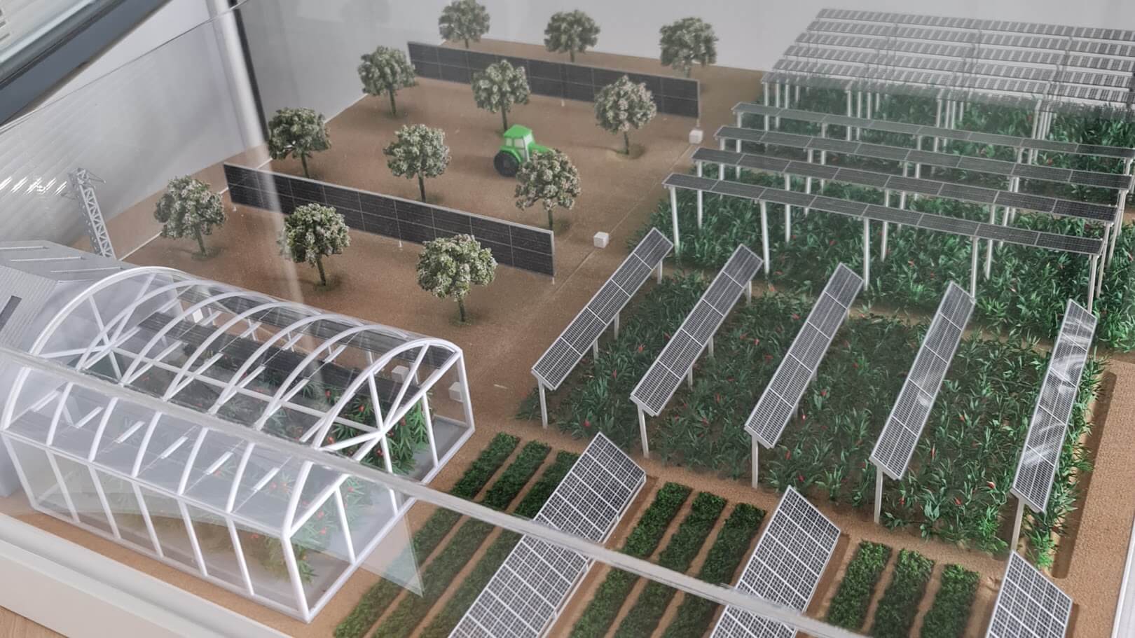 Agrivoltaica.jpg