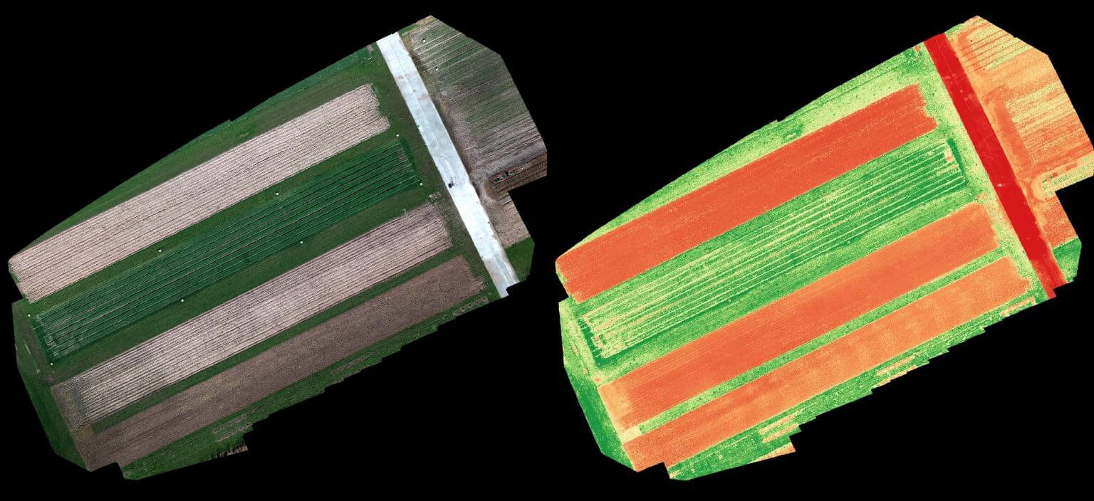 Comparación de foto aérea del campo y con Índice de vegetación de diferencia normalizada. Fuente: NPEC