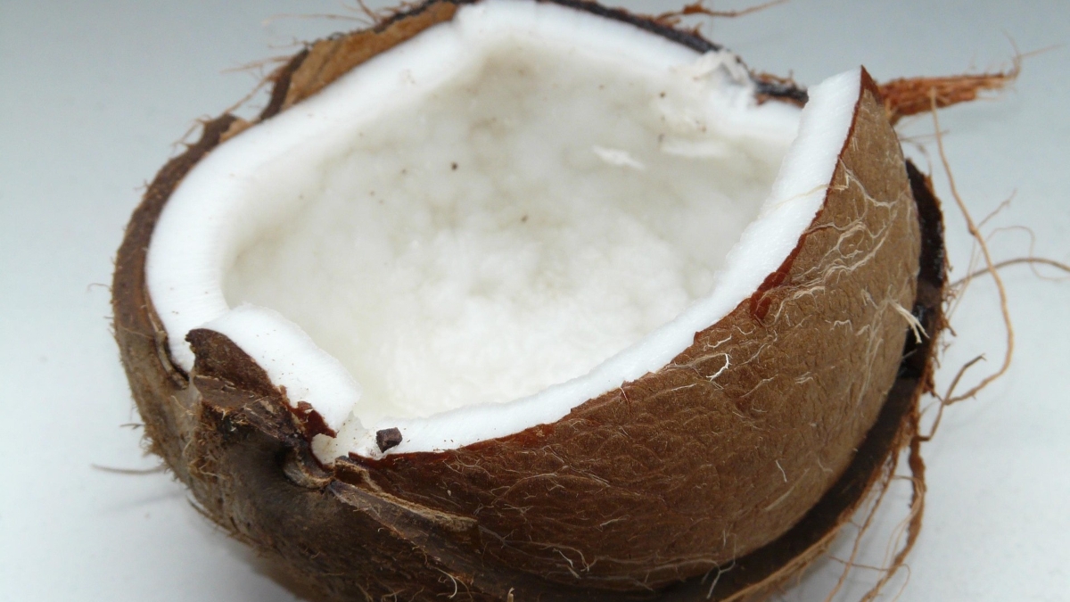 hans-coconut-60395_1920.jpg