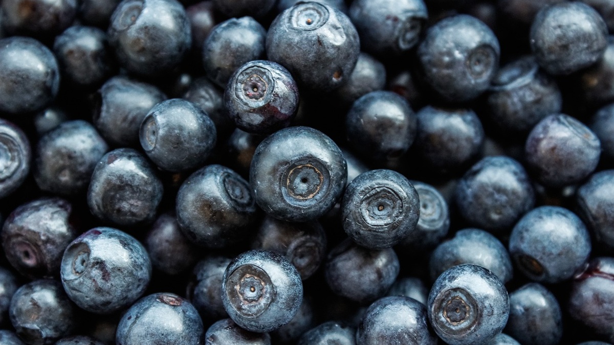 blueberry-5417154_1280