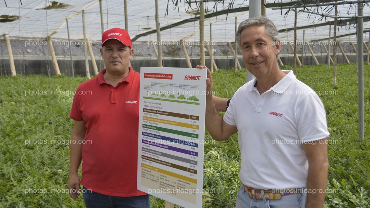 infoagro-photos-5qq4wxnom-3725