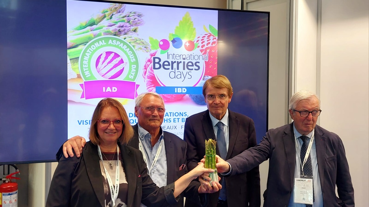 IAD_IBD_Presentation