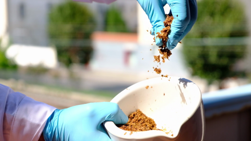 El Banco de germoplasma y la investigación en agrivoltaica en el IMIDA