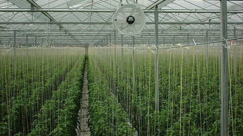 CO2-Greenhouse-fot-public