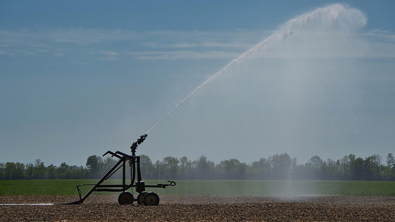Agua-ozonizada-en-riego-reduce-patógenos-y-refuerza-la-salud-del-cultivo.jpg