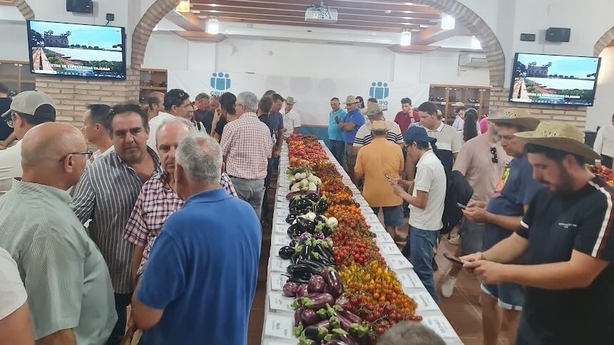 Cajamar-exposición-var-2025