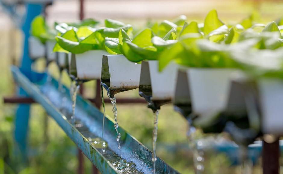 quality-of-irrigation-water-why-measure-conductivity