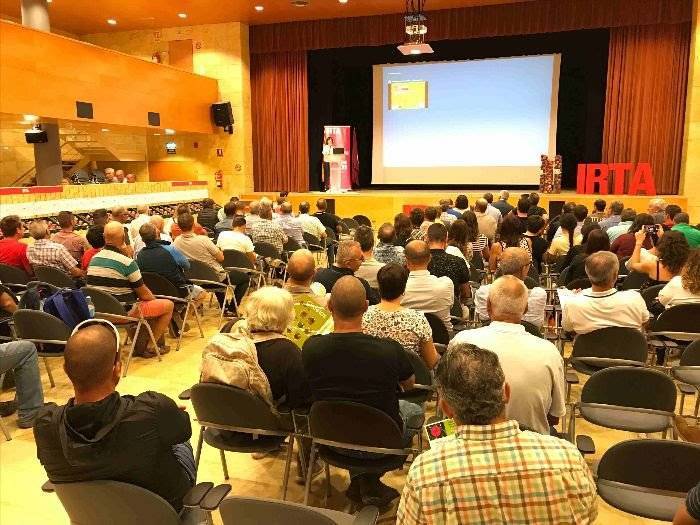 aclareo-mecanico-en-melocoton