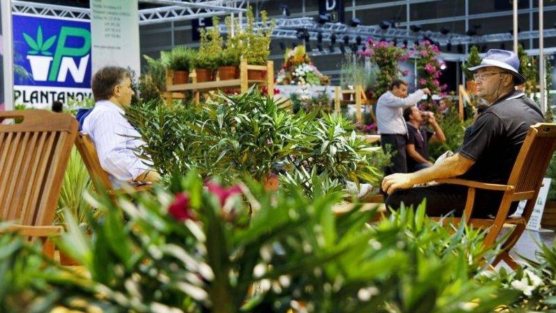 berflora-feria-de-planta-y-flor