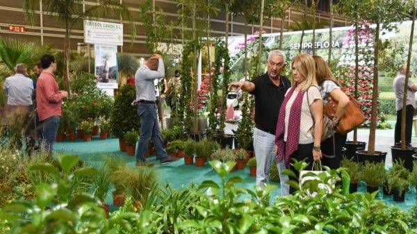 compradores-internacionales