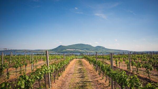 agricultura-equilibrada