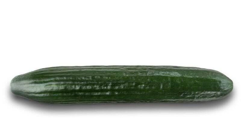 Fito-Pepino-Bambu-16x9-High-Quality