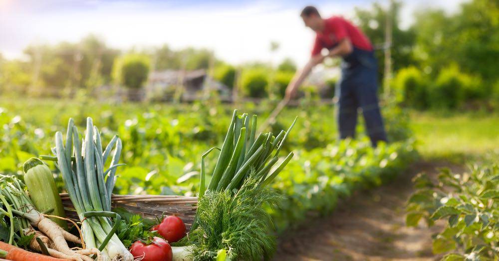 herbicidas-origen-naturales