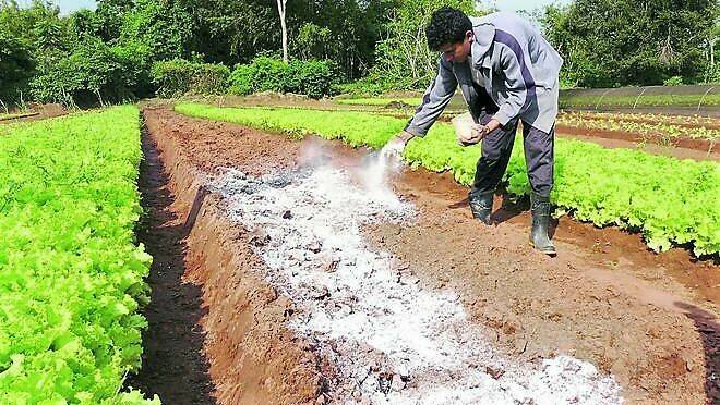 acv-impacto-ambiental-actividades-humanas