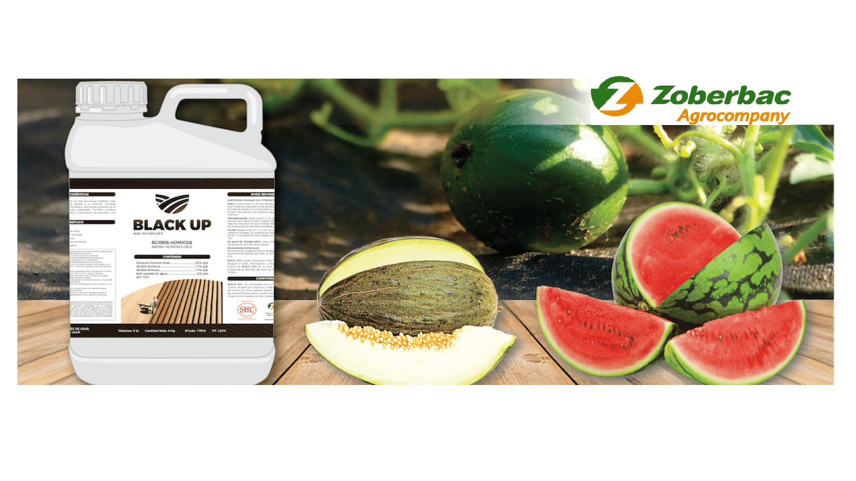 zoberbac-blackup-melon-sandia