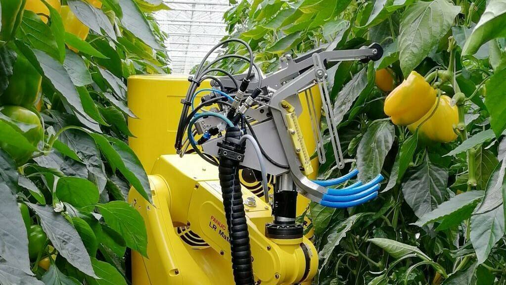 robots-disenados-agricultura-futuro