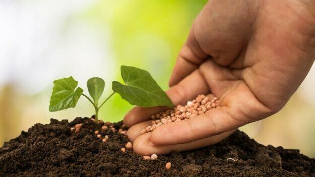 nanotecnologia-agricultura-sostenible