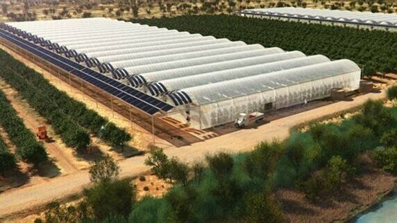 horticultura-desierto-invernaderos-africa