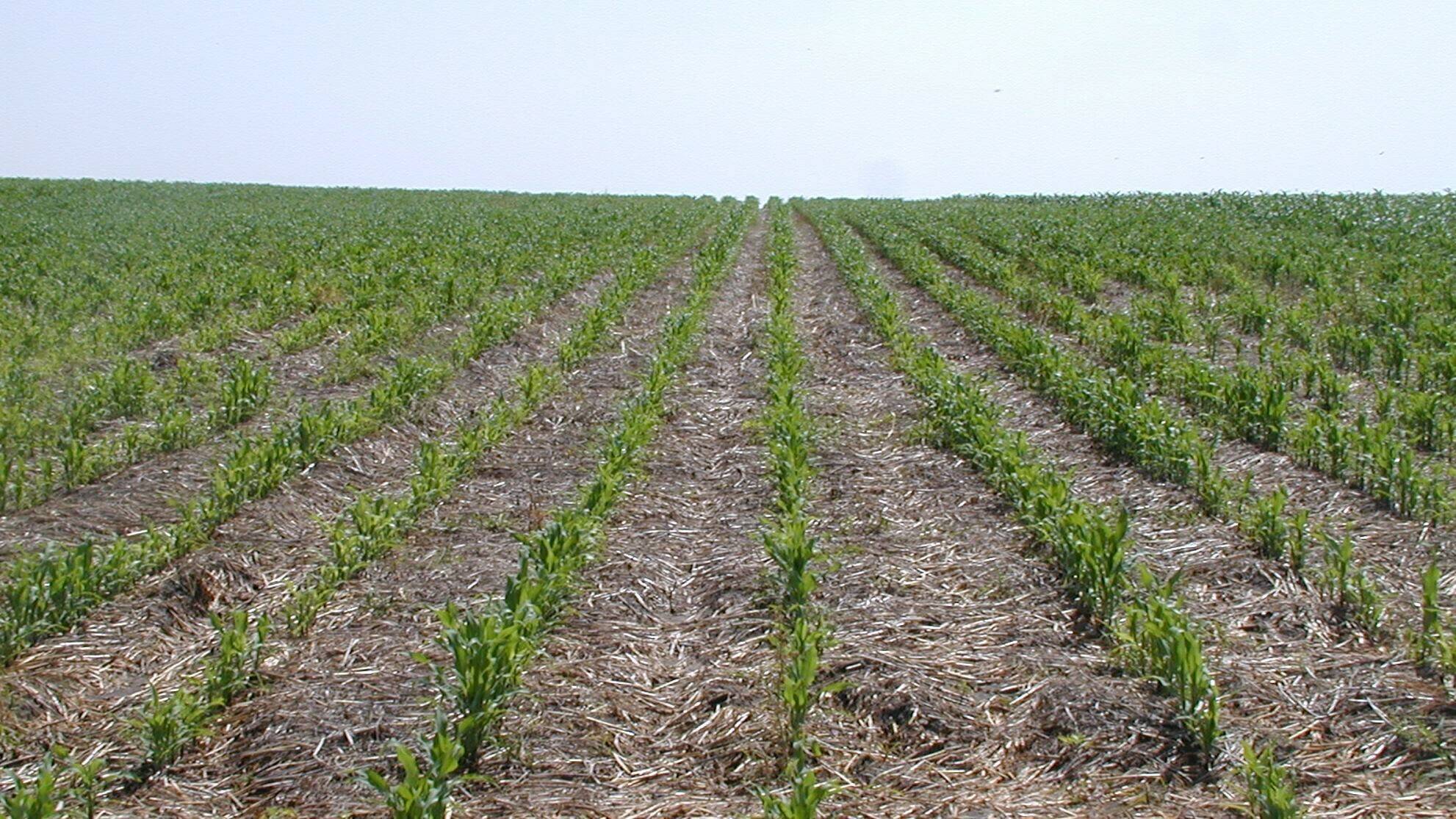 agricultura-conservacion-suelos