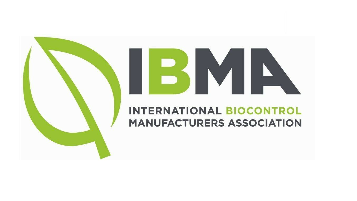 IBMA