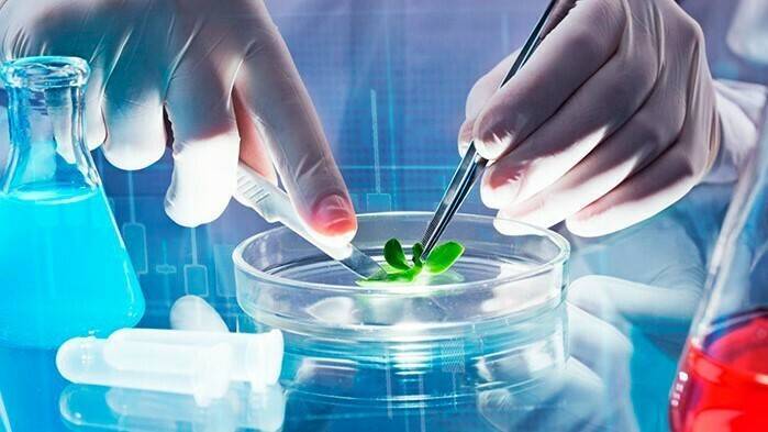 bioindustria-tecnologia-verde-biotech