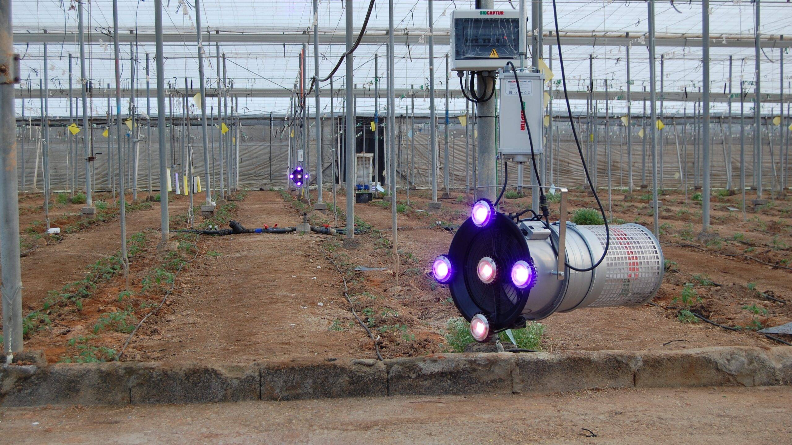 BIOCAPTUR-s50-tuta-absoluta